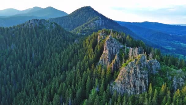Alta Catena Montuosa Rocciosa Selvaggia Rodopi Montagne Coperte Vegetazione Verde — Video Stock