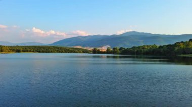 Small blue reflecting lake and clear cool water with stone narrow wild shore in coniferous spruce forest with tall fir trees, against pale blue daytime cloudy sky. UHD 4K video realtime