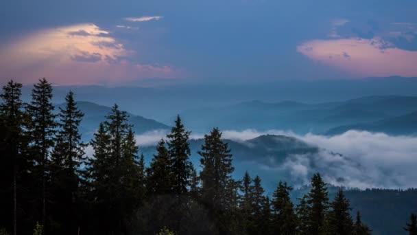 Cloudy Weather Low Hills Covered Spruce Evergreen Forests Rhodope Mountains — Wideo stockowe