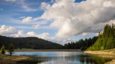 Small blue reflecting lake and clear cool water with stone narrow wild shore in coniferous spruce forest with tall fir trees, against pale blue daytime cloudy sky. UHD 8K video footage timelaps
