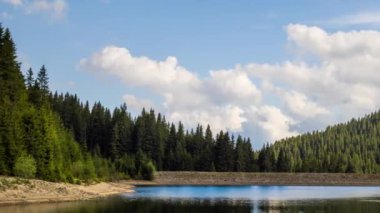 Small blue reflecting lake and clear cool water with stone narrow wild shore in coniferous spruce forest with tall fir trees, against pale blue daytime cloudy sky. UHD 4K video footage timelaps