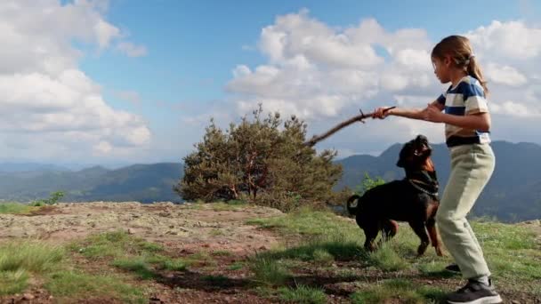 ブロンドの髪をした陽気な女の子は ロートロープ山脈と野生のトウヒの森の谷の高い山の崖の上にRottwiler品種の最愛の大きな種類の犬と棒で遊んでいます Uhdビデオスローモーション — ストック動画