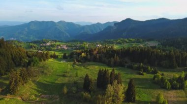 Green spring mountain valley sheltered by mountain vegetation and spruce dark forests with small old village of Smolyan, with grassy meadows where hungry motley sheep graze. UHD 4K video realtime