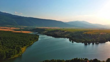 Small blue reflecting lake and clear cool water with stone narrow wild shore in coniferous spruce forest with tall fir trees, against pale blue daytime cloudy sky. UHD 4K video realtime