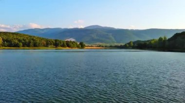 Small blue reflecting lake and clear cool water with stone narrow wild shore in coniferous spruce forest with tall fir trees, against pale blue daytime cloudy sky. UHD 4K video realtime