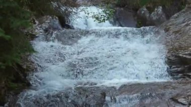 Ormanın karanlık çalılıklarında köpüklü suyla hızlı, serin, dar bir dere ladin ve yaprak döken ağaçlar ve ıslak kaldırımlı kayalık yamaçlar. UHD Video yavaş çekim 4K