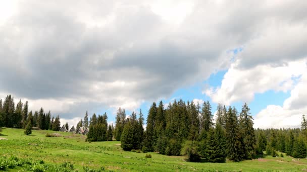 Prado Verde Brilhante Coberto Com Vegetação Montanhosa Uma Encosta Contra — Vídeo de Stock