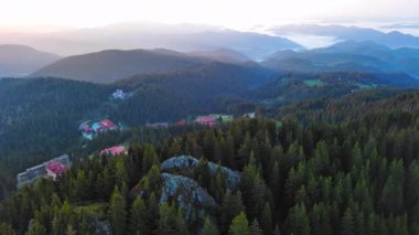 Bitki örtüsü ve ladin ile korunan yeşil bahar dağı vadisi Smolyan 'ın küçük bir köyü olan karanlık sık ormanlar ve aç koyunların otladığı otlak otlaklar. UHD 4K video gerçek zamanlı