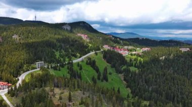 Dönen asfalt bir dağ yolu yüksek yeşil tepeleri geçer ladin ormanları ile kaplı ve taze bahar geniş çayırları bulutlu gri sınırsız gökyüzüne karşı. UHD 4K video gerçek zamanlı