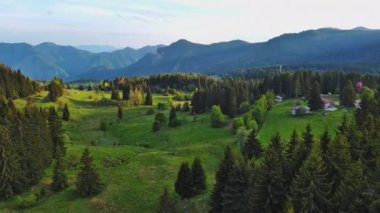 Green spring mountain valley sheltered by mountain vegetation and spruce dark forests with small old village of Smolyan, with grassy meadows where hungry motley sheep graze. UHD 4K video realtime