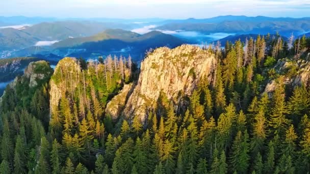 Υψηλή Βραχώδης Άγρια Οροσειρά Της Ροδόπης Καλυμμένη Πράσινη Βλάστηση Φόντο — Αρχείο Βίντεο