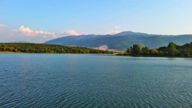 Small blue reflecting lake and clear cool water with stone narrow wild shore in coniferous spruce forest with tall fir trees, against pale blue daytime cloudy sky. UHD 4K video realtime