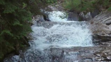 Ormanın karanlık çalılıklarında köpüklü suyla hızlı, serin, dar bir dere ladin ve yaprak döken ağaçlar ve ıslak kaldırımlı kayalık yamaçlar. UHD Video yavaş çekim 4K