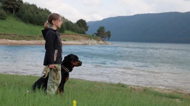 Kislány Áll Közel Nagy Kutya Rottweiler Fajta Füves Rét Hegyi — Stock videók