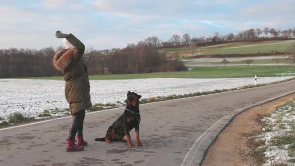 Sıcak Giyimli Bir Kadın Büyük Itaatkar Rottweiler Köpeği Için Küçük — Stok video