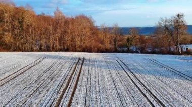 Çekici tarımla işlenmiş tarımsal tarlalar, beyaz karla kaplı yataklar, arka plandaki kel kış ağaçları ve bulutlu bir gökyüzü. 4K UHD video gerçek zamanlı