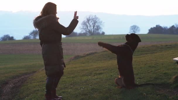 一位穿着暖绿色夹克的女主人在多云的天气里 在绿雾的草地上训练并指挥着她那只忠实于罗特韦勒犬的大狗 Uhd视频实时处理 — 图库视频影像