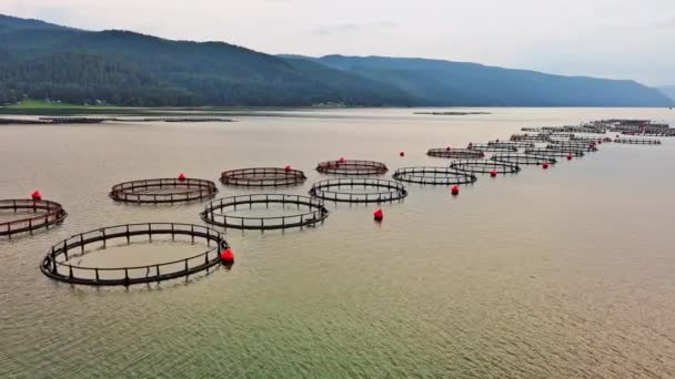 커다란 어촌들 물고기를 번식시키기 위하여 로도피 산맥의 산간의 호수에 구름낀 — 비디오