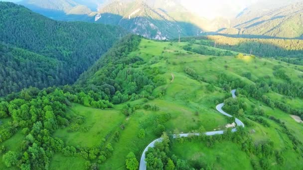 曲がりくねったアスファルトの山岳道路は トウヒの森と曇りの灰色の無限の空に対して新鮮な春の広い牧草地で覆われた高い緑の丘を通過します Uhd 4Kビデオリアルタイム — ストック動画
