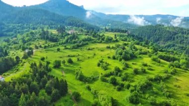 View from high rock to old village town Smolyan with green meadows for cattle walking and houses, between mountain range of Rhodope Mountains sheltered by spruce forests. UHD 4K video realtime