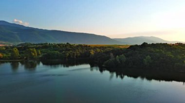 Small blue reflecting lake and clear cool water with stone narrow wild shore in coniferous spruce forest with tall fir trees, against pale blue daytime cloudy sky. UHD 4K video realtime
