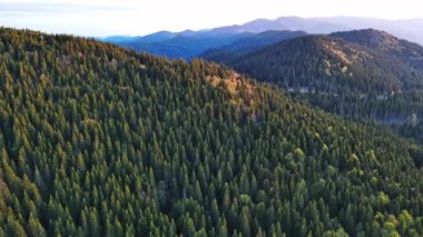 Güçlü, güvenilir metal kablolu bir turist asansörü, Rodop Dağları 'nın dağ sıralarının tepesinde, dikenli uzun tepeleri olan ladin ormanlarının arasından geçer. UHD 4K video gerçek zamanlı