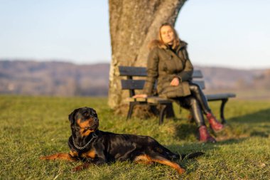 Sıcak koyu renk ceketli, dalgalı kızıl saçlı sahibi büyük yapraksız bir ağacın yanındaki ahşap bankta oturur ve Rottweiler cinsinin köpeği sabah yürüyüşünde onun yanında yatar.