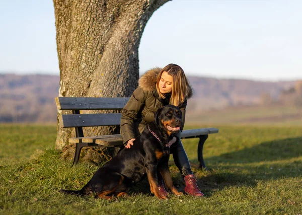 A kind friendly red-haired woman hugs and strokes her beloved big black dog friend of the Rottweiler breed sitting on a wooden bench, on top of a green hill near a thick tree trunk in bright sunlight