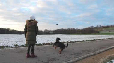 Sıcak giyimli bir kadın, büyük itaatkar Rottweiler köpeği için küçük bir siyah top atar. Mavi bulutlu gökyüzüne karşı karla kaplı tarlaların arasında durur. 4K UHD video gerçek zamanlı