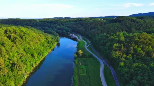 在克罗地亚和斯洛文尼亚的绿落叶森林之间 一条狭窄而平静的库帕河流经高速公路旁边 背景是阳光明媚的天空和群山 Uhd视频实时处理 — 图库视频影像