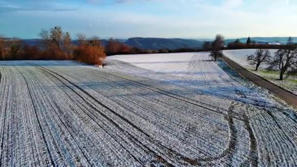 Тракторные Сельскохозяйственные Непосаженные Поля Покрытыми Белым Снегом Кроватями Фоне Лысых — стоковое видео