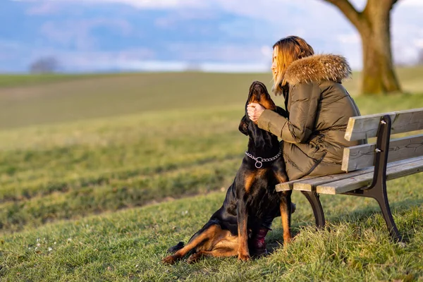 A kind friendly red-haired woman hugs and strokes her beloved big black dog friend of the Rottweiler breed sitting on a wooden bench, on top of a green hill near a thick tree trunk in bright sunlight