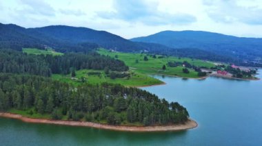 Small blue reflecting lake and clear cool water with stone narrow wild shore in coniferous spruce forest with tall fir trees, against pale blue daytime cloudy sky. UHD 4K video realtime