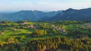 Green spring mountain valley sheltered by mountain vegetation and spruce dark forests with small old village of Smolyan, with grassy meadows where hungry motley sheep graze. UHD 4K video realtime