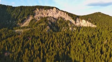 Green spring mountain valley sheltered by mountain vegetation and spruce dark forests with small old village of Smolyan, with grassy meadows where hungry motley sheep graze. UHD 4K video realtime