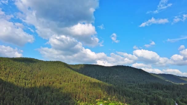 Bright Green Meadow Covered Mountain Vegetation Hillside Backdrop Evergreen Tall — Stok video