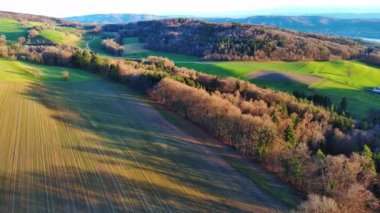 Yeşil tarımsal ekilmemiş tarlalar, güz ormanlarının arka planına karşı tepelik bir alanda taze çimlerle kaplı ve güneş ışığında bulutlu bir akşam gökyüzü. 4K UHD video gerçek zamanlı