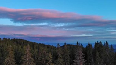 Snezhana 'nın dağlık tepesindeki yüksek turist gözlem kulesi Rodop dağları ve tepelerindeki yeşil ladin yoğun ormanlarıyla kaplıydı. UHD 4K video gerçek zamanlı