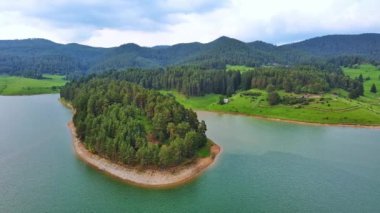 Small blue reflecting lake and clear cool water with stone narrow wild shore in coniferous spruce forest with tall fir trees, against pale blue daytime cloudy sky. UHD 4K video realtime
