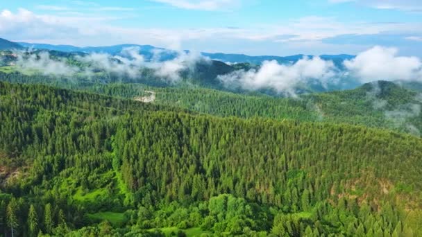 Yüksek Kayadan Eski Köy Kasabası Smolyan Sığır Yürüyüşü Için Yeşil — Stok video