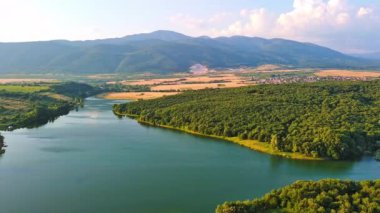 Small blue reflecting lake and clear cool water with stone narrow wild shore in coniferous spruce forest with tall fir trees, against pale blue daytime cloudy sky. UHD 4K video realtime