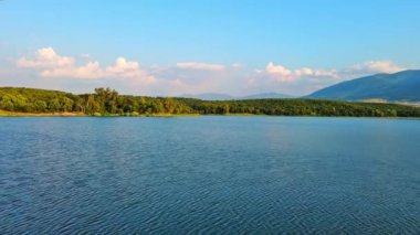 Small blue reflecting lake and clear cool water with stone narrow wild shore in coniferous spruce forest with tall fir trees, against pale blue daytime cloudy sky. UHD 4K video realtime