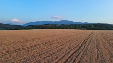 Dar dolambaçlı, iyi çiğnenmiş yollar, Rodop Dağları 'nın dağ vadisi ve parlak, güneşli akşam gökyüzünün arka planında olgunlaşmış ekinlerle çiftçi buğday tarlalarından geçer. UHD 4K video gerçek zamanlı