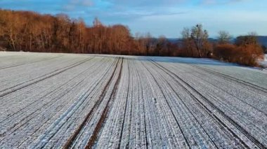 Çekici tarımla işlenmiş tarımsal tarlalar, beyaz karla kaplı yataklar, arka plandaki kel kış ağaçları ve bulutlu bir gökyüzü. 4K UHD video gerçek zamanlı