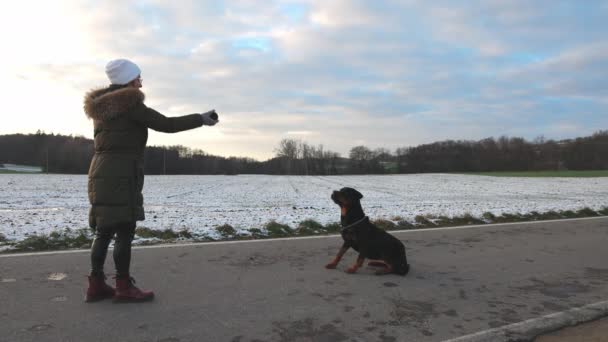 Тепло Одягнена Жінка Кидає Маленький Чорний Свого Великого Слухняного Собаки — стокове відео