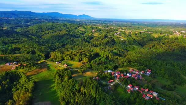 Hırvatistan Açık Mavi Bir Gökyüzüne Karşı Yeşil Yaprak Döken Ormanlar — Stok video
