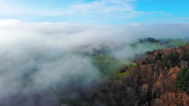 Nublado Neblina Blanca Mañana Sobre Bosque Denso Oscuro Otoño Mixto — Vídeos de Stock