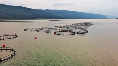 Rodop Dağları 'nın bir dağ vadisinde, bulutlu bir bulutlu gökyüzünün altında, dağlar arası serin bir gölde taze balık yetiştirmek için büyük kafesler. UHD 4K video gerçek zamanlı