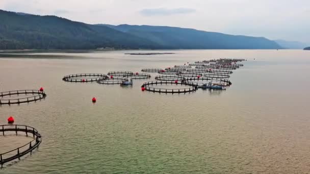 커다란 어촌들 물고기를 번식시키기 위하여 로도피 산맥의 산간의 호수에 구름낀 — 비디오