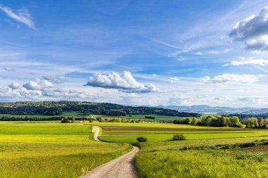 Yeşil uçsuz bucaksız çayırlar, tarım tarlaları, sık karışık vahşi ormanlar ve akşamüstü bulutlu mavi gökyüzüne karşı yalnız çiftlikler olan bir vadide dar toprak yol.